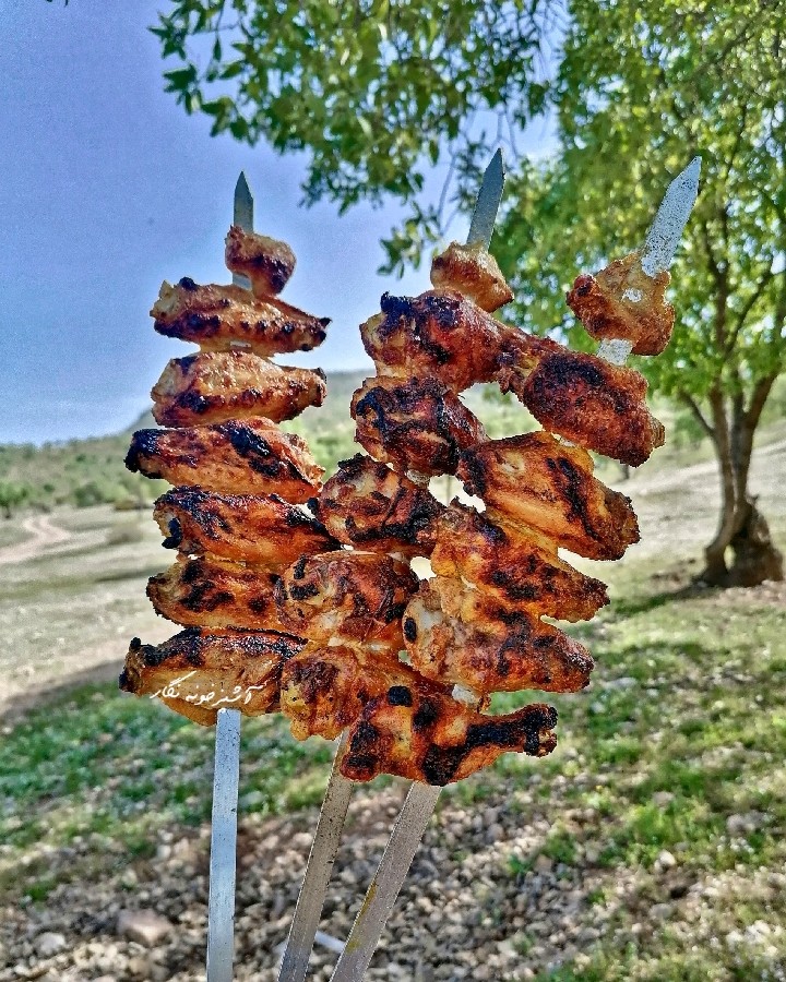 بال مرغ کبابی تند