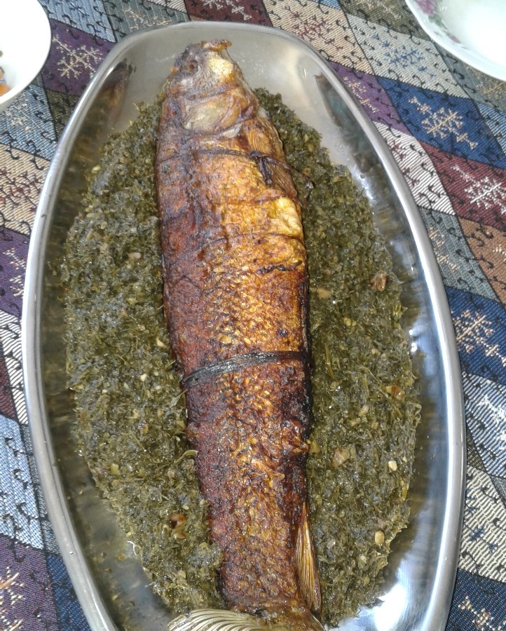 ماهی سبزی شکم پر