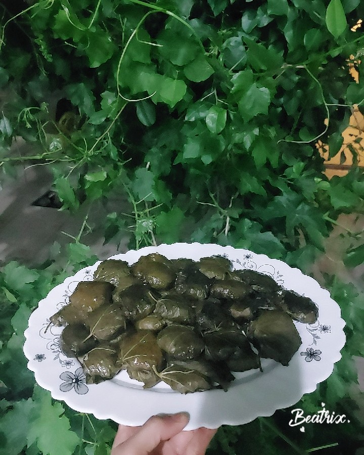 عکس دلمه