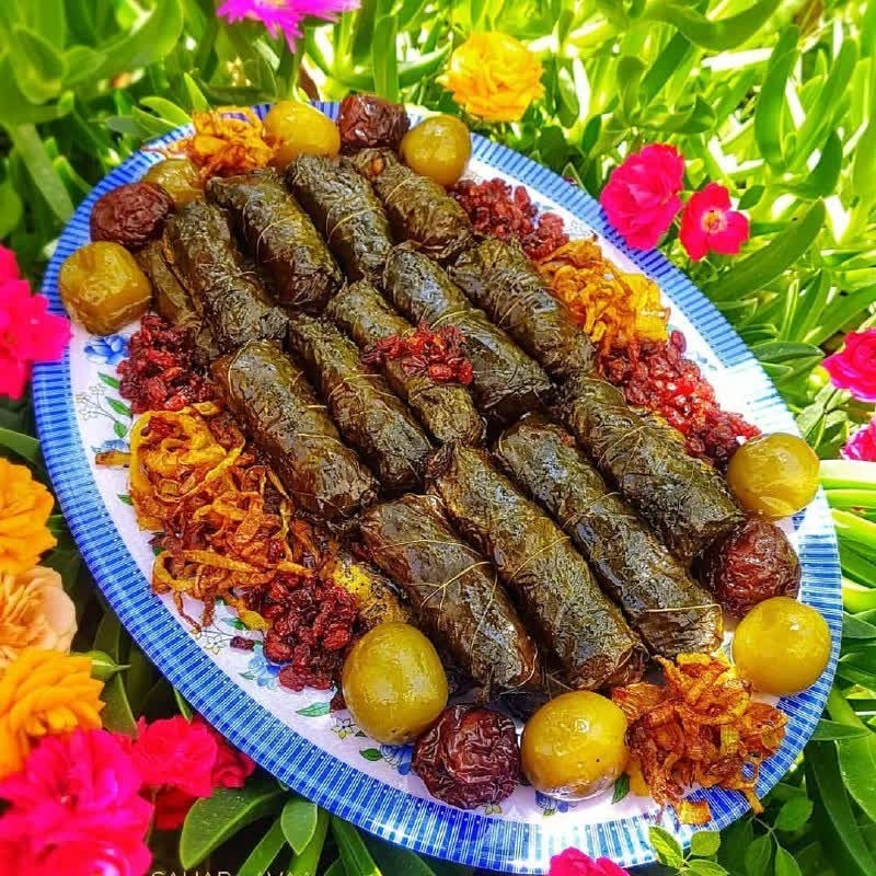 عکس دلمه_برگ_مو