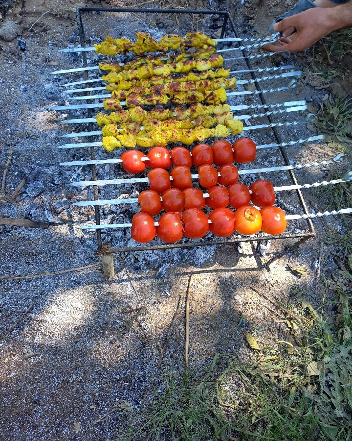عکس جوجه کباب