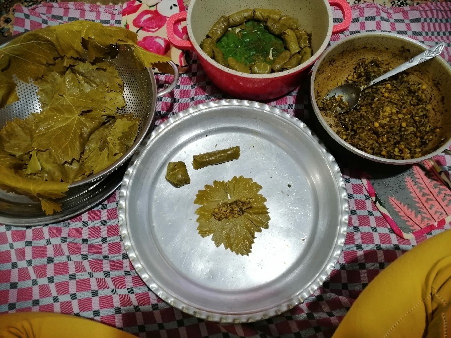 دلمه برگ مو