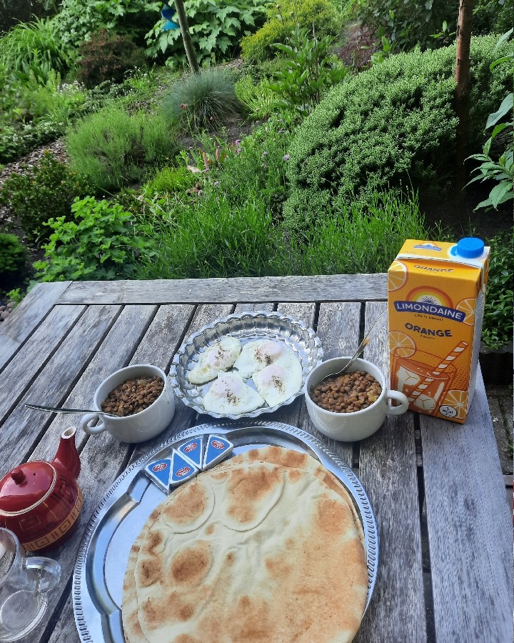 عکس صبحانه عدسی و نیمرو