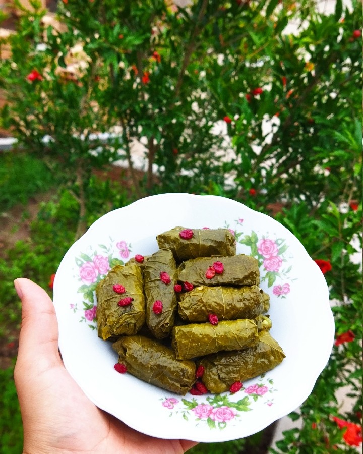 عکس دلمه برگ مو