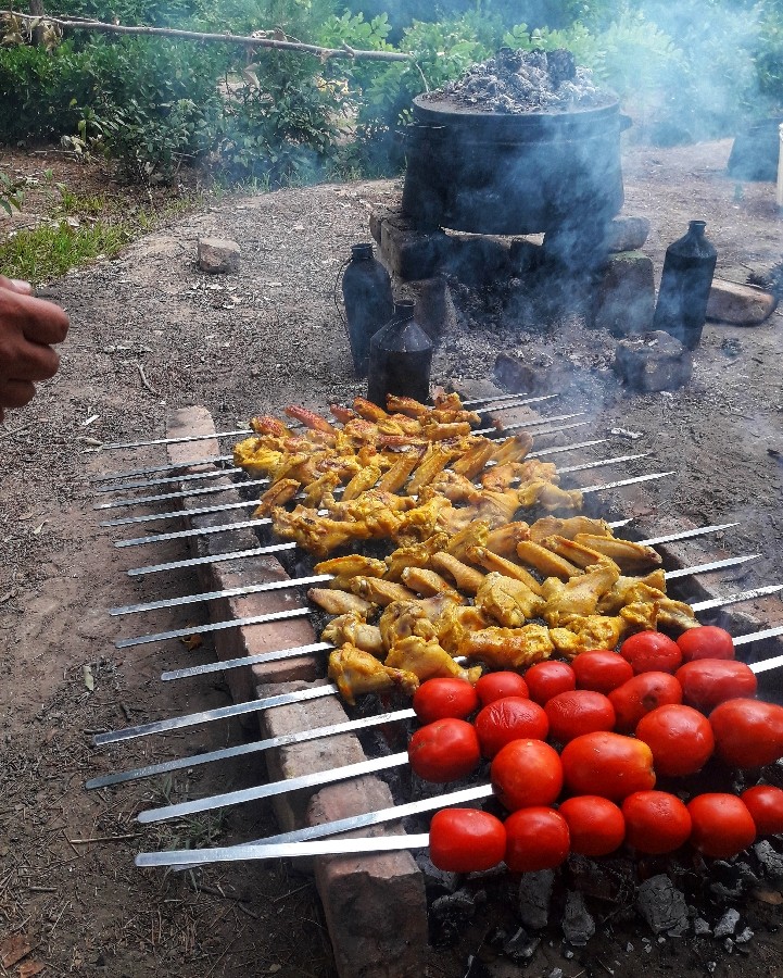 عکس جوجه کباب برنج زغالی تعطیلات