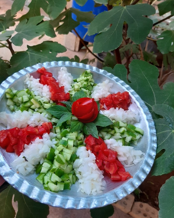 سالاد شیـــرازی هنری