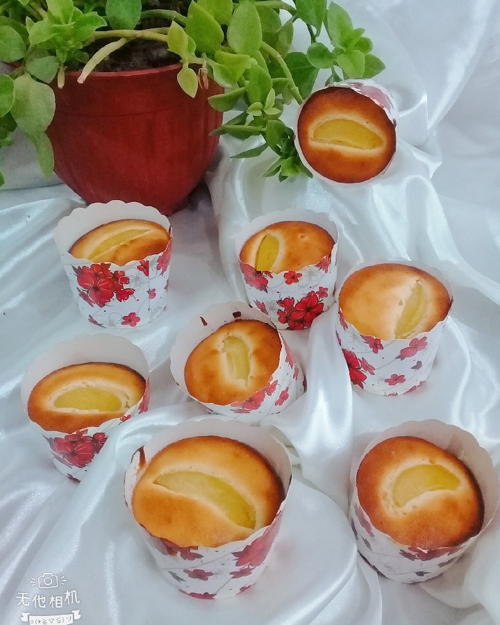 عکس کاپ کیک زردآلو با دستور پخت استاد سراجی