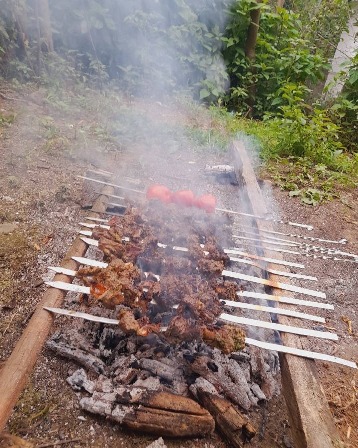 عکس کباب ترش گیلانی لطفا ورق بزنید وقلبم روقرمز کنید❤