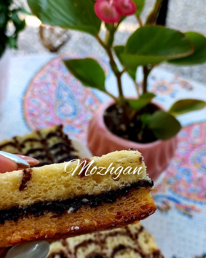 تی تاب ☆خانگی☆