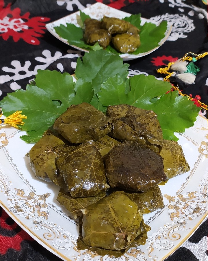 عکس دلمه برگ مو لرستان