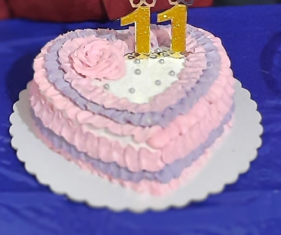 کیک تولد دختر عمو جون❤️?