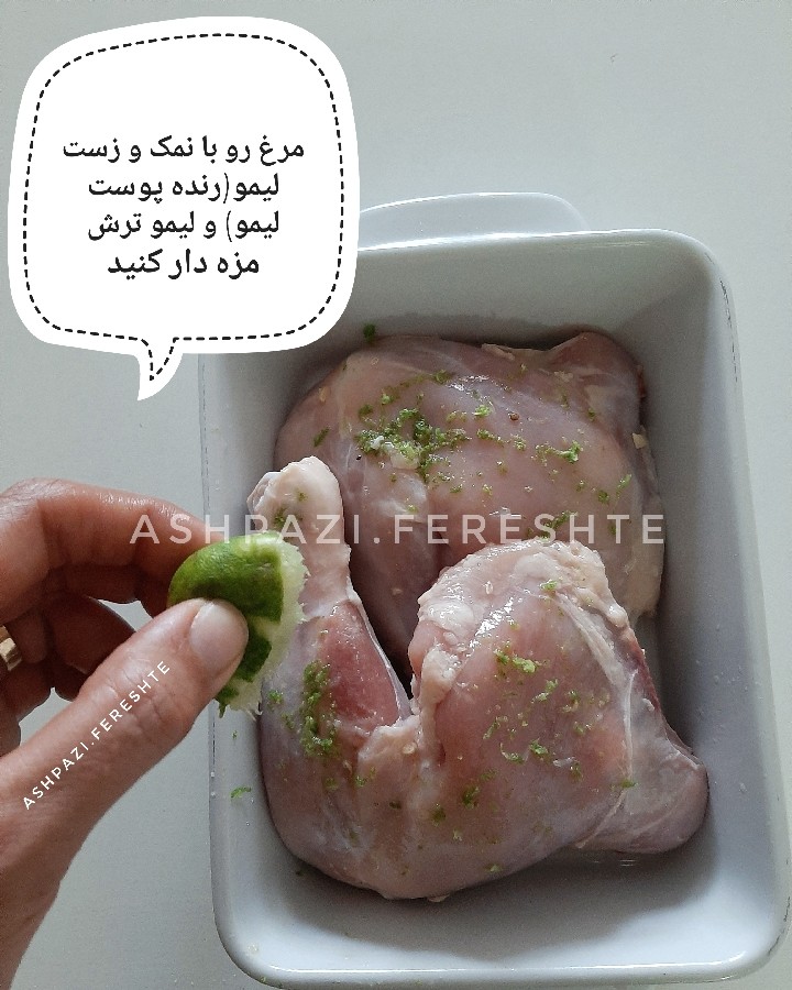 عکس مرغ عربی