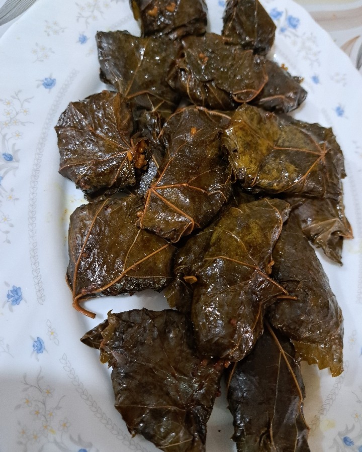 عکس دلمه برگ مو