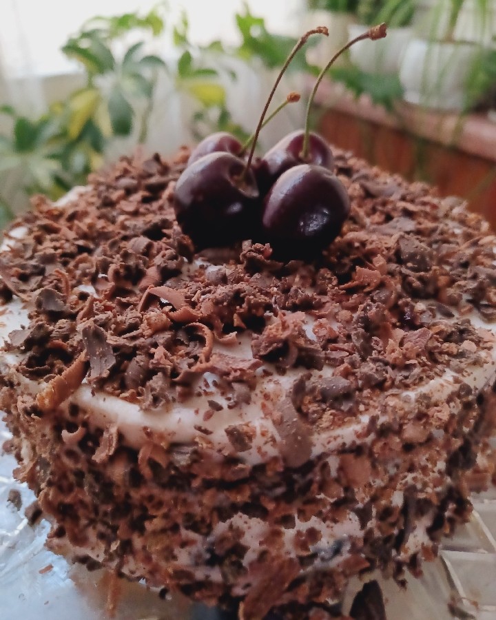 عکس کیک شکلاتی گیلاسی