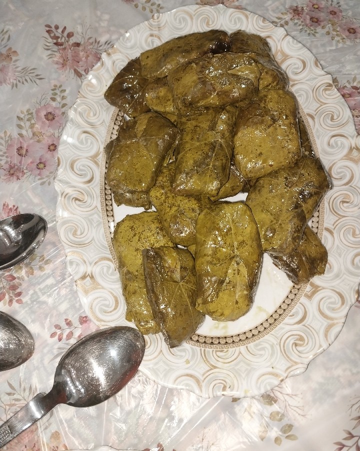 عکس دلمه برگ مو