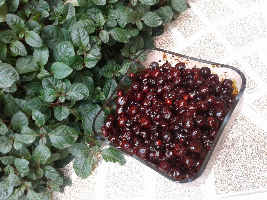 تا فصلشه درست کنید ولذت ببرید