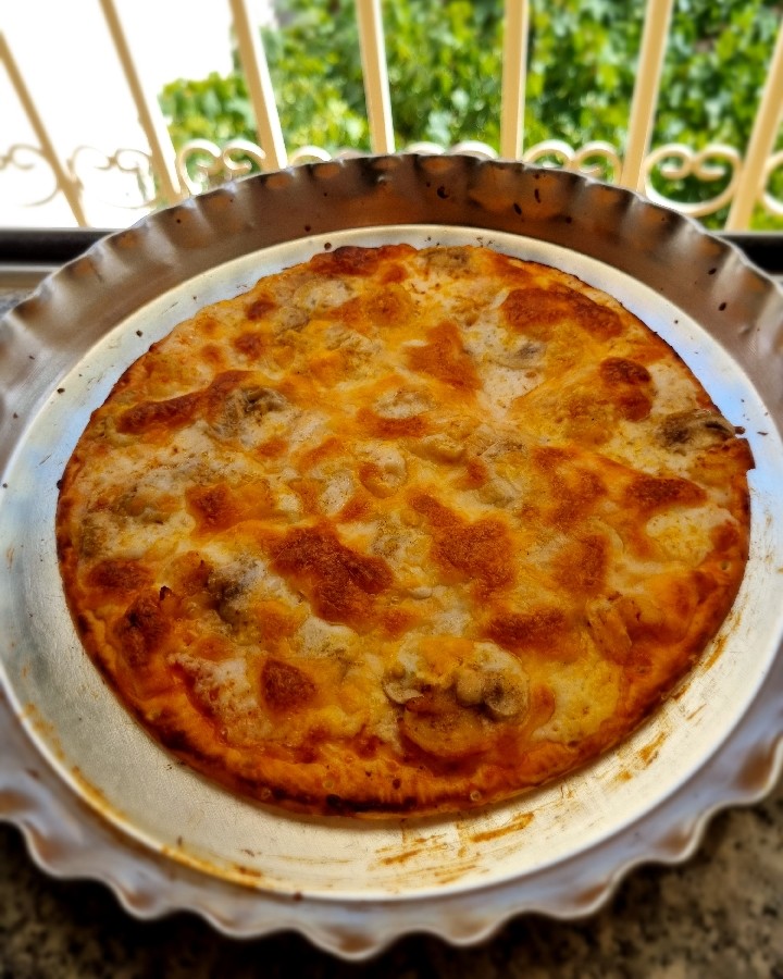 عکس پیتزا میگو و قارچ 
