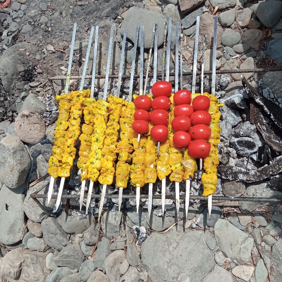 گالری گردی?