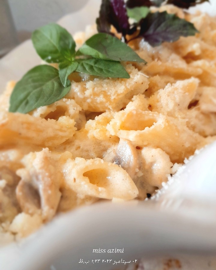 پــــاسـتـا آلـفـردو