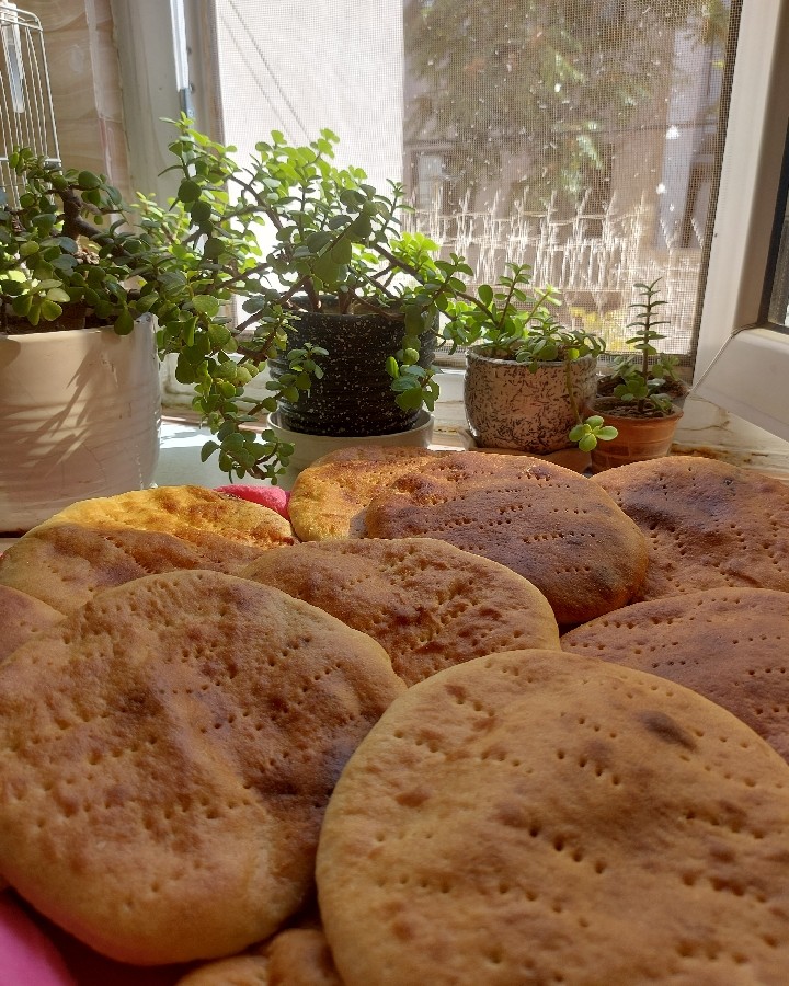 عکس فطیر شمالی