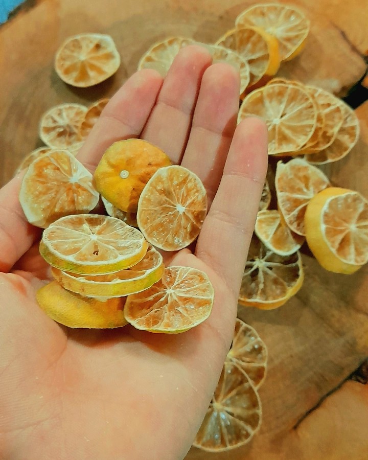 لیمو حلقه ای خشک شده 