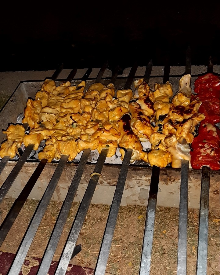 چالش_روزمرگی چالش فاطمه_زمانی