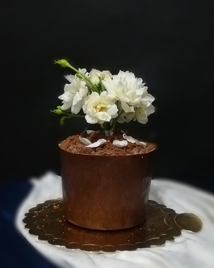 کیک گلدانی 