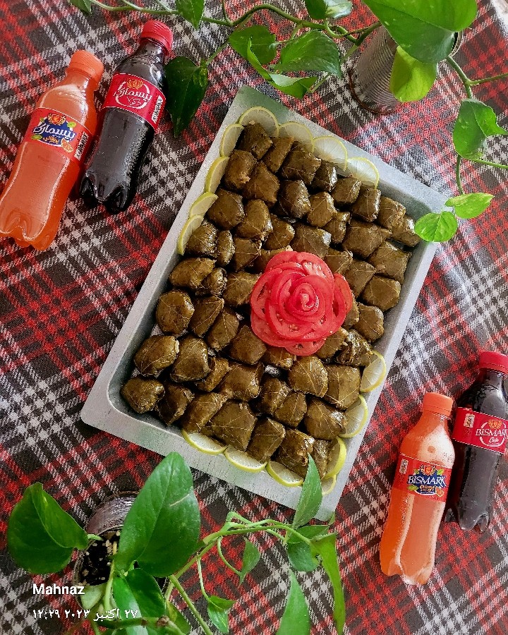 عکس ناهار مهنازی