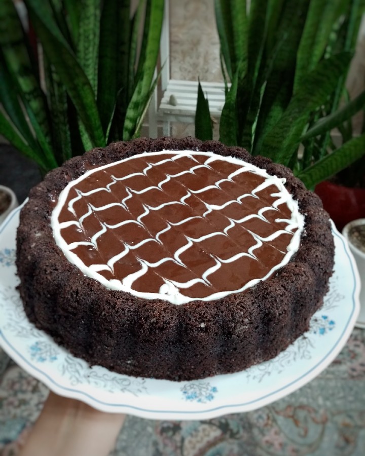 عکس کیک شکلاتی مکزیکی 