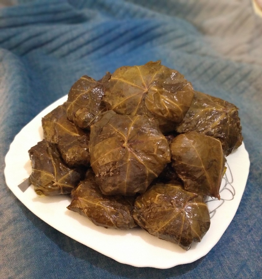 عکس دلمه برگ مو