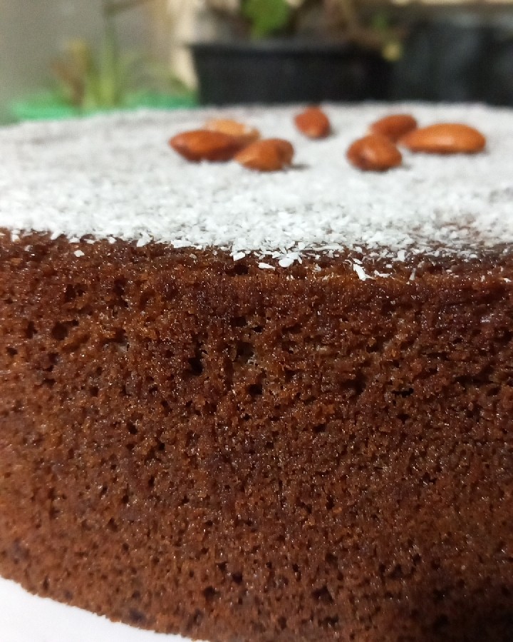 عکس کیک شکلاتی با رویه نارگیل 