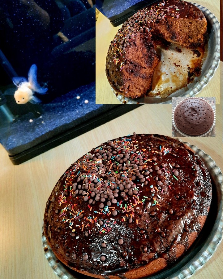 کیک خیس قابلمه ای پرپف و بی نظیر