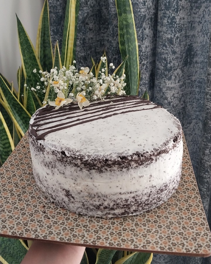 عکس کیک شکلاتی با فیلینگ اسنیکرز