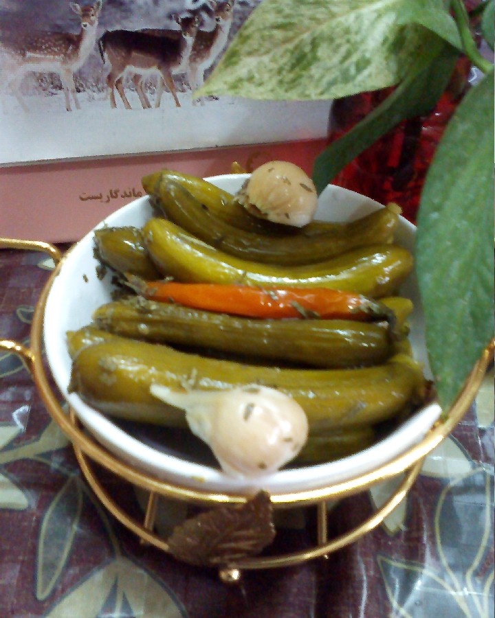 خیارشور خانگی بهمن 1402