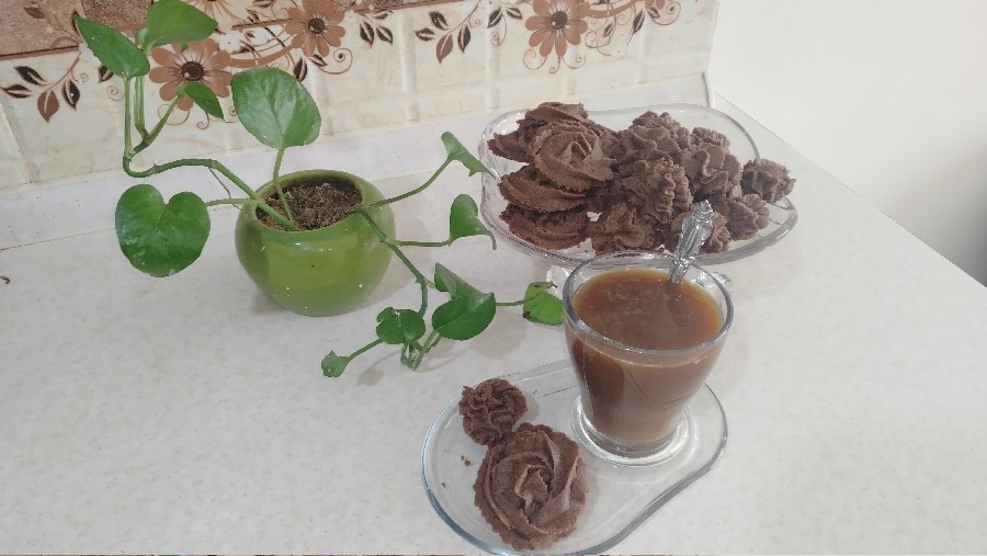 عکس نوروز و سلامتی
شیرینی قهوه رژیمی