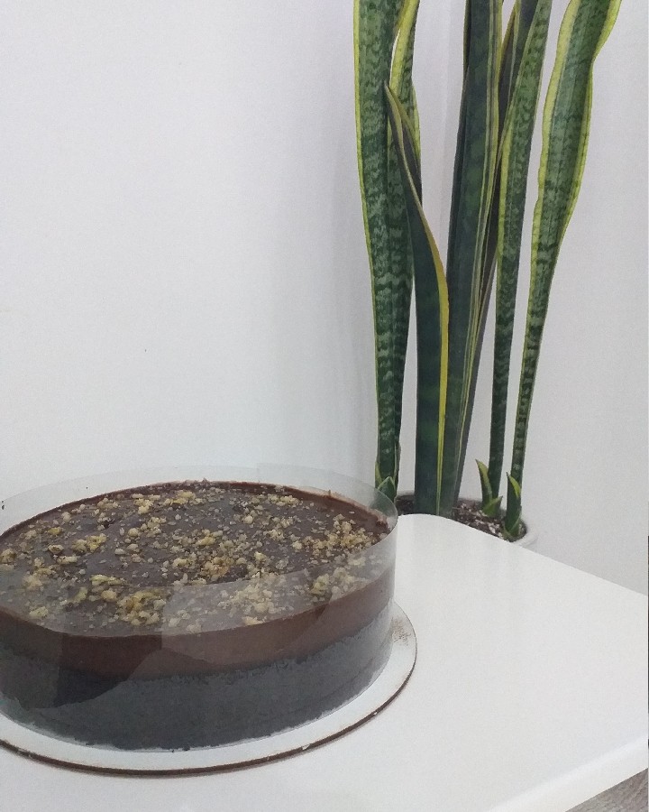 عکس کیک قهوه و شکلات با پودینگ شکلاتی