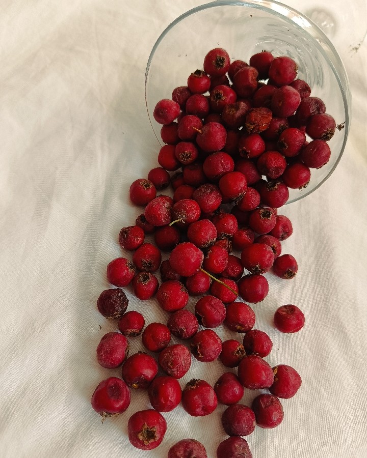 مربای زالزالک