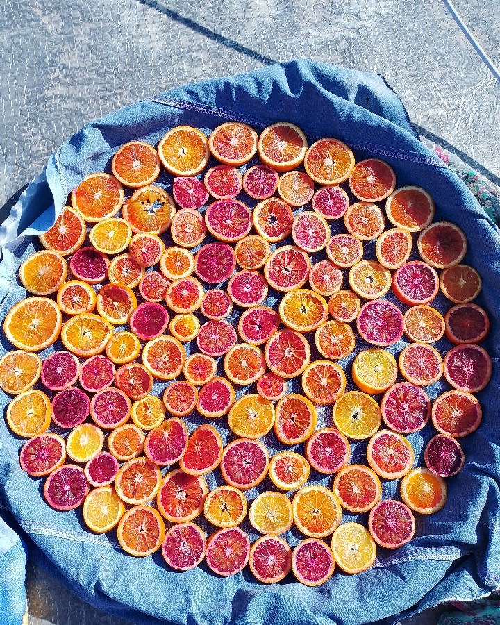 پرتقال آماده خشک شدن???♥?