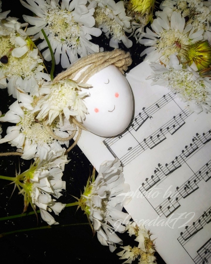 تخم مرغ هفت سین