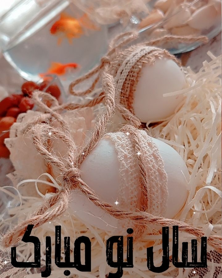 سال نو مبارک ✨? امیدوارم سال جدید برای همه خوب و خوش باشه ???