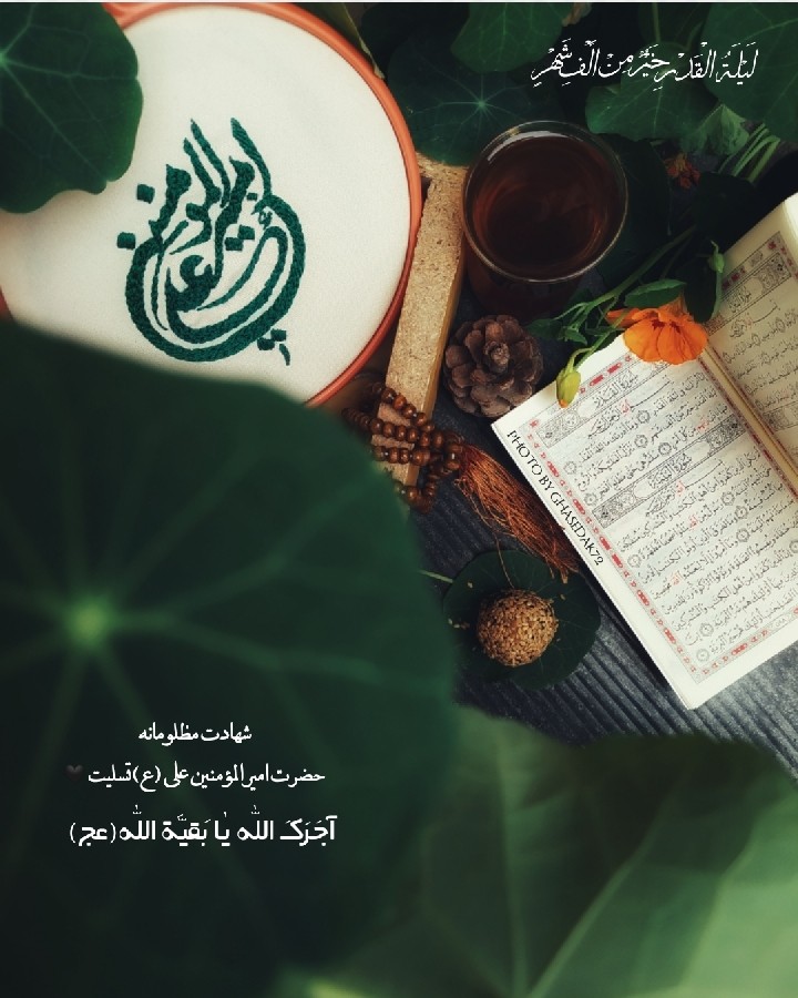 یا امیرالمؤمنین (علیه السلام)