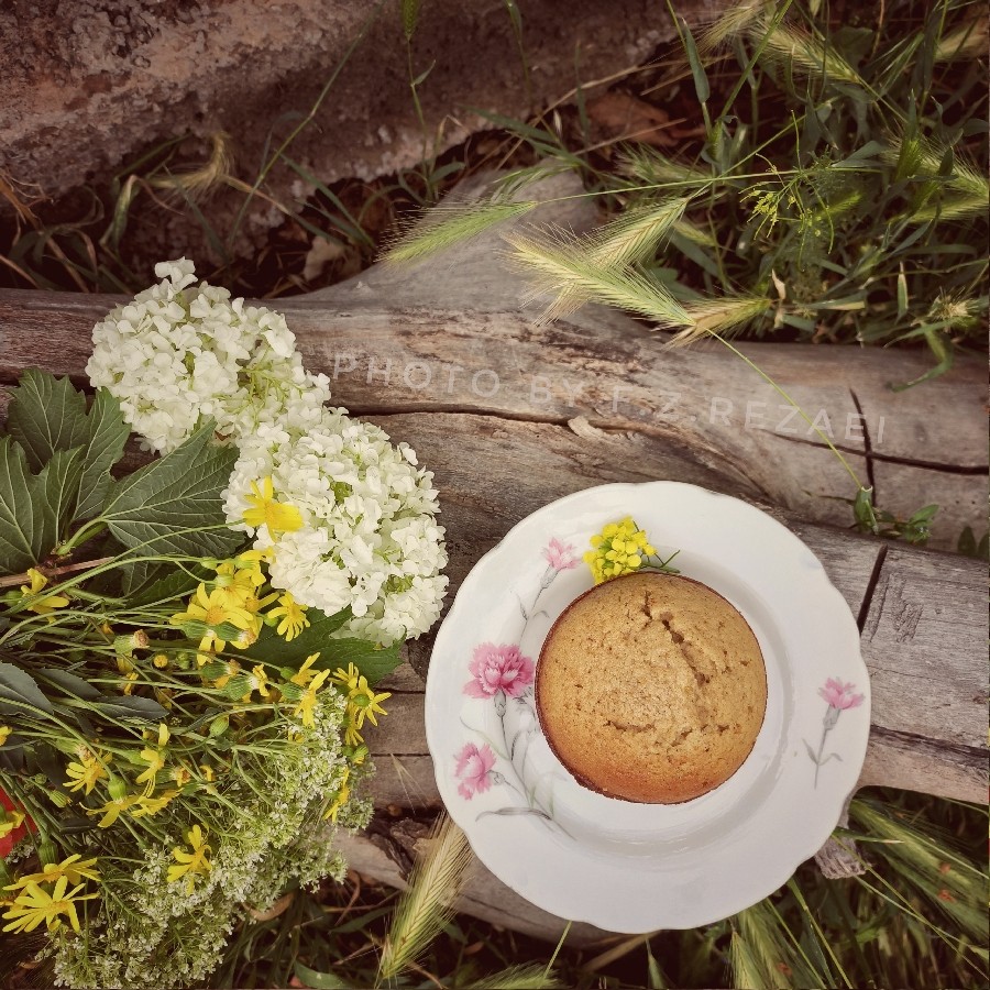 عکس orange muffin