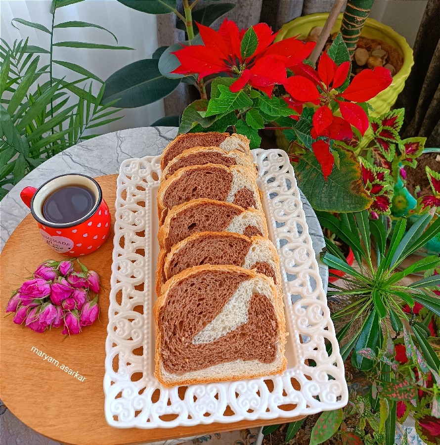 عکس نان تست دورنگ