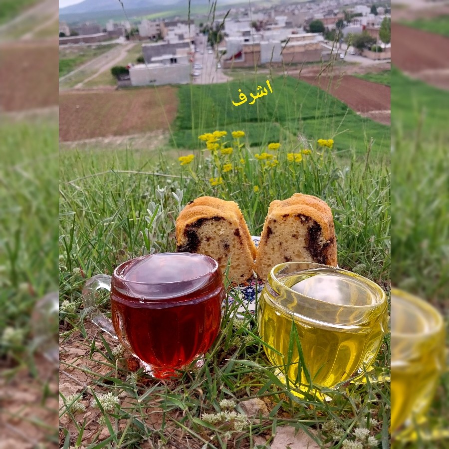 عکس چایی درطبیعت