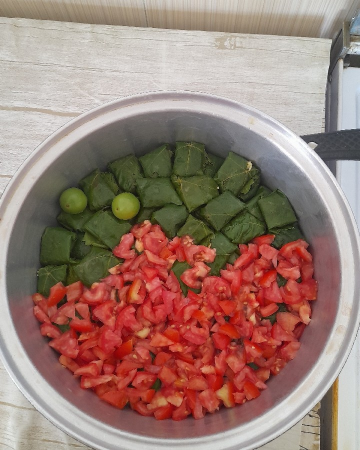 دولمه خودم پز?