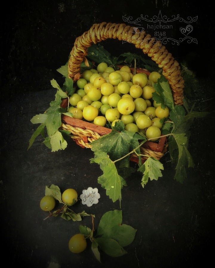 آلوچه? hajehsan??