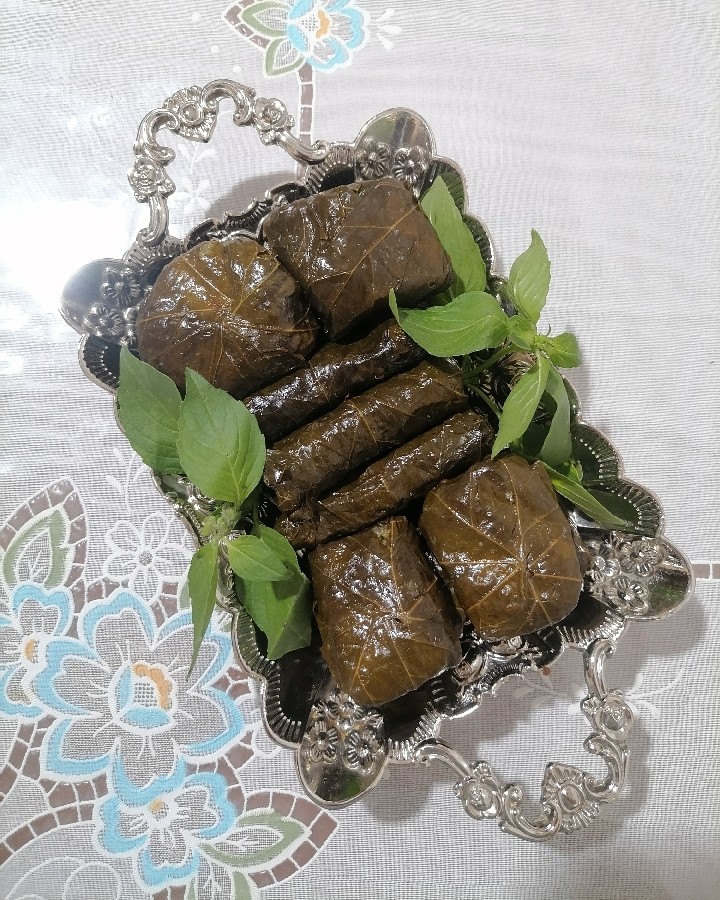 عکس دلمه برگ مو