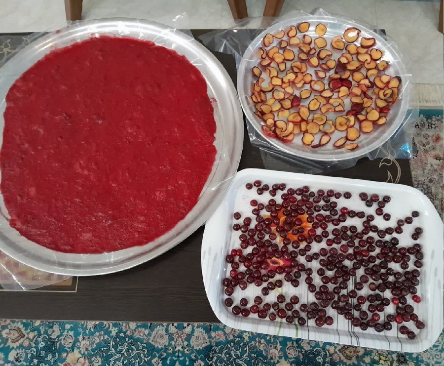 عکس البالوخشک.لواشک.الوشابلونی??