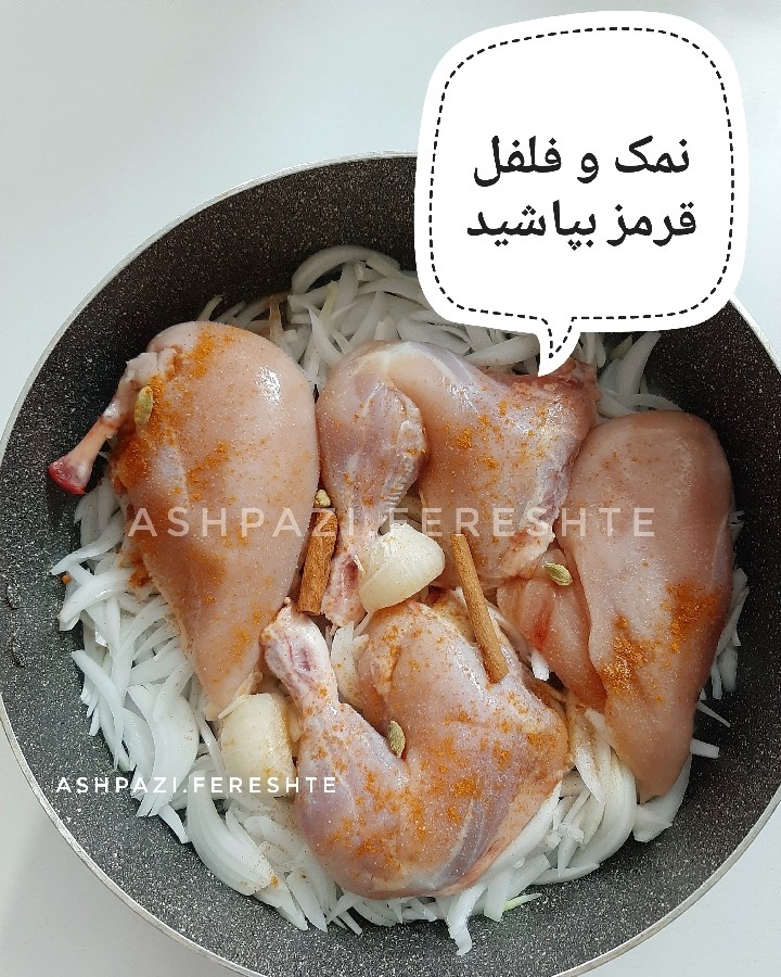 عکس مرغ مشهدی 