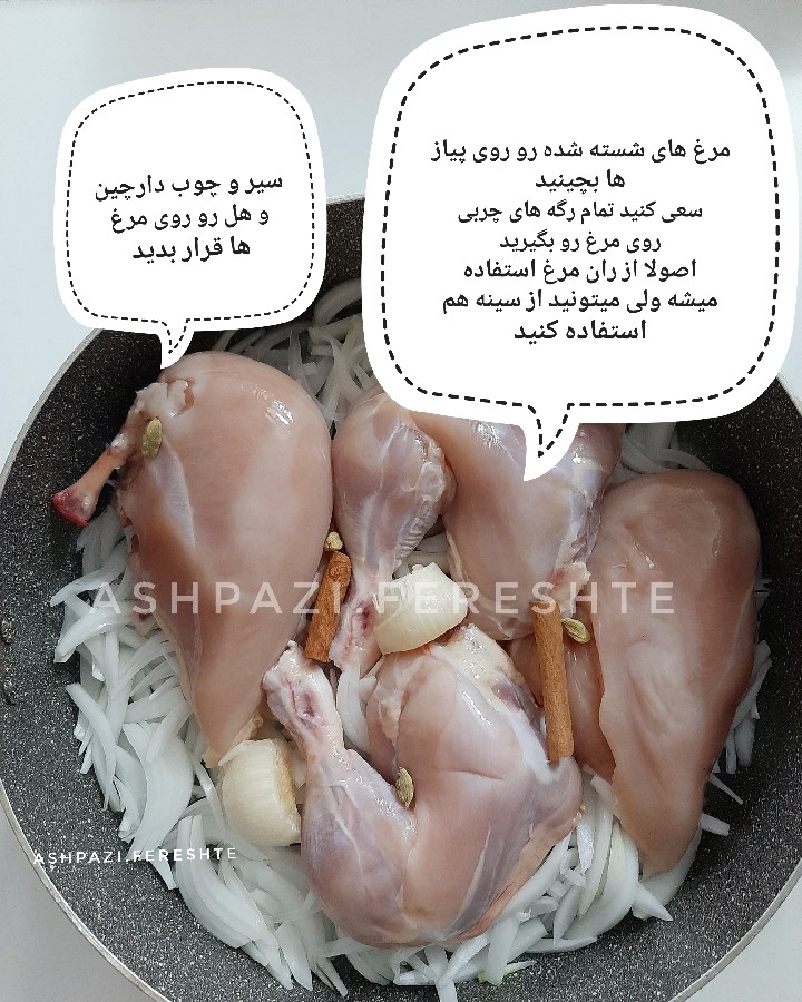 عکس مرغ مشهدی 